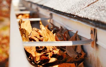 Mynydd Llan gutter cleaning companies