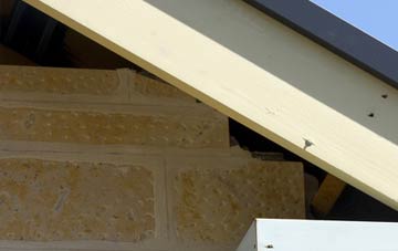 soffit repair Mynydd Llan