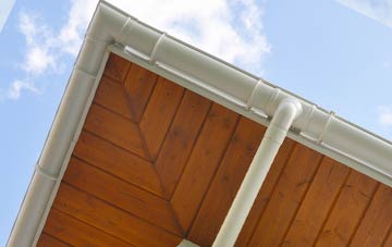Mynydd Llan soffit types